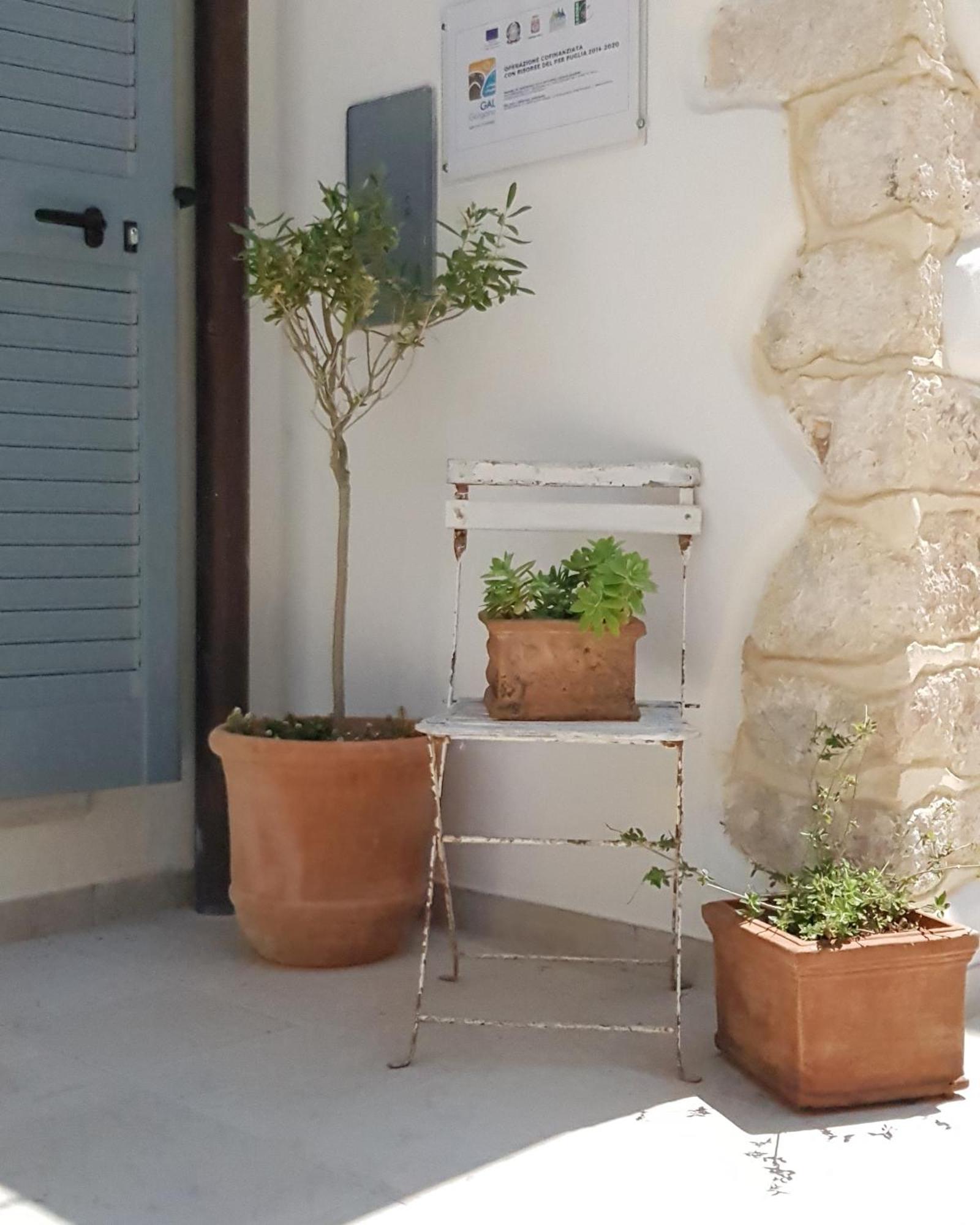 Gargara Bed And Breakfast Vico Del Gargano Exteriör bild